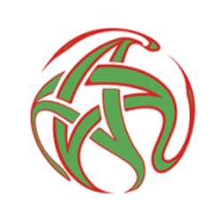 الدوري المغربي