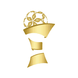 كأس QSL القطرية