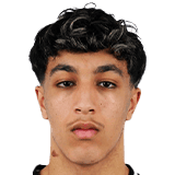 فادي زرق العنين