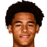 تييري فيدجو تازيميتا