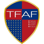 تايشونج فيتورو