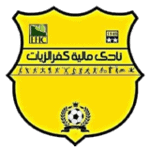 مالية كفر الزيات