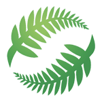 سنترال فوتبول (سيدات)