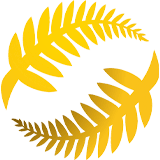 كابيتال فوتبول (سيدات)