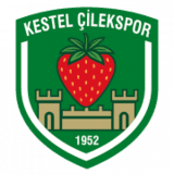 كستل فراولة