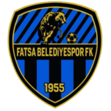 فاتسا بيليدي سبور