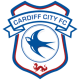 كارديف سيتي