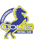 كومبيرنولد شولتز